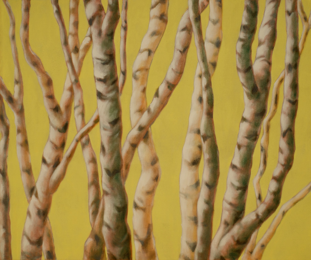 Birkenhain, 2014, Acryl auf Leinwand, 100 x 120 cm