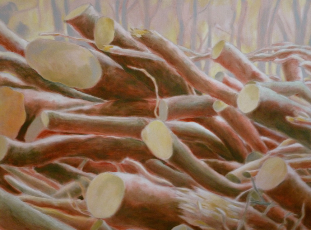 Februar, 2012/13, Acryl auf Leinwand, 112 x 160 cm